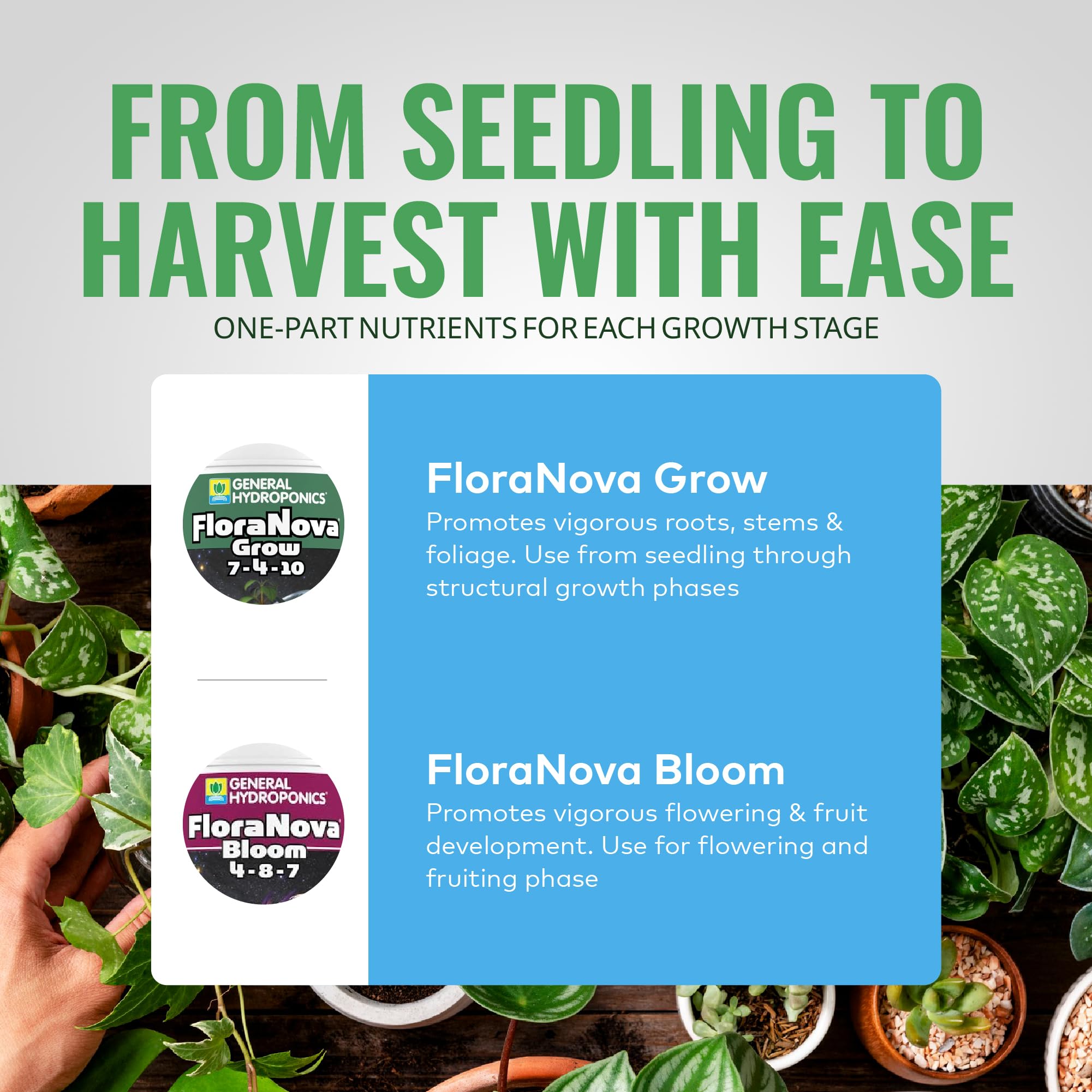 General Hydroponics GH1632 Flora Nova Bloom : Amazon.ca: Patio